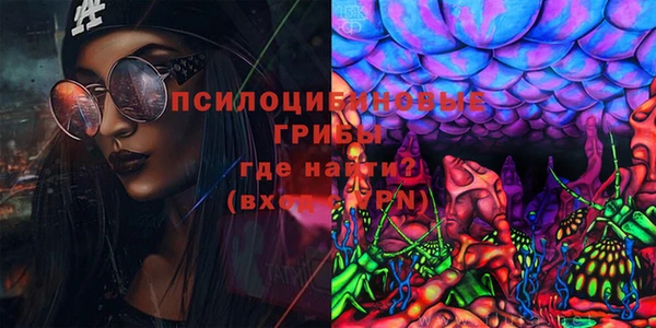 ECSTASY Богородск